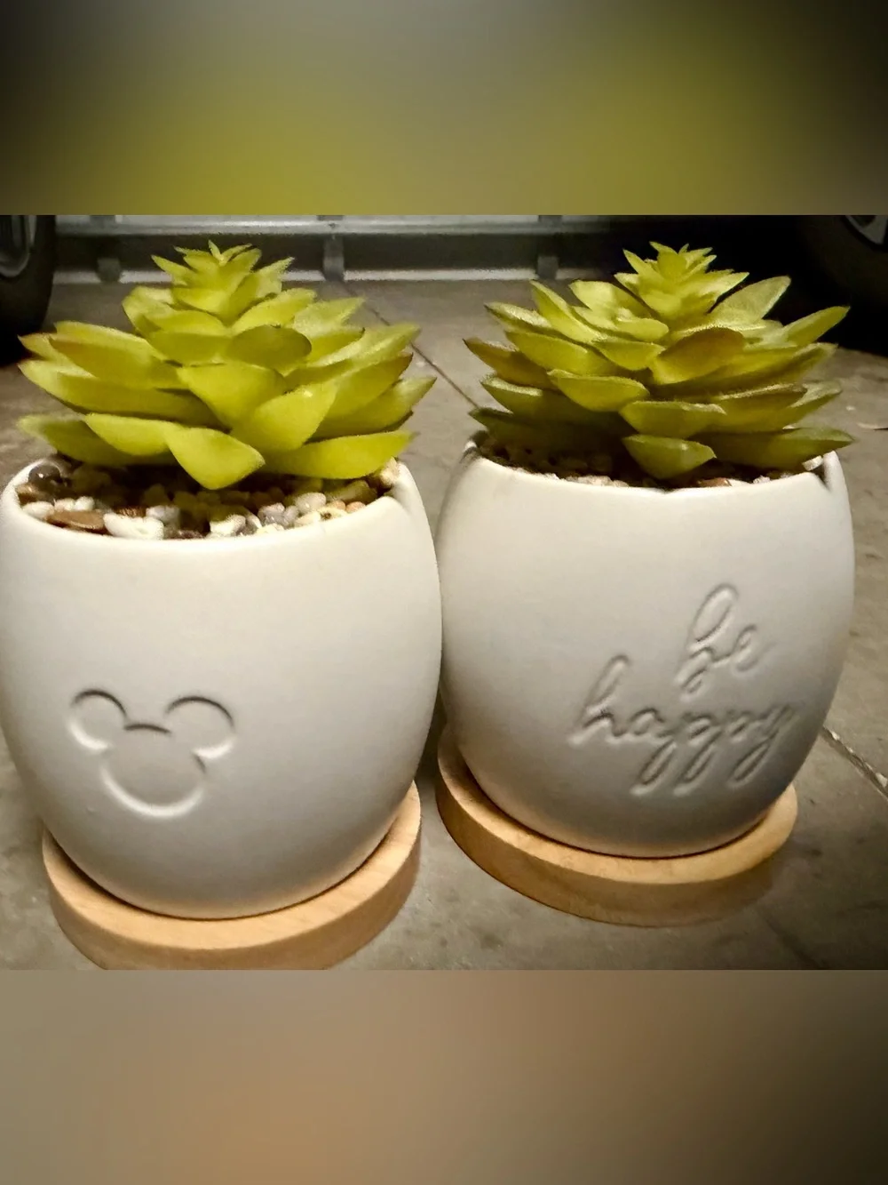 Disney Parks Homestead -set of 2